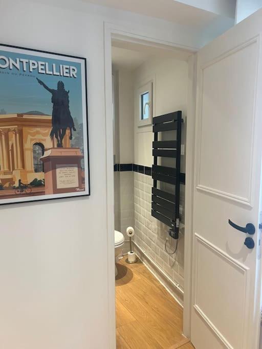 Appartement Chez Benedicte à Montpellier Extérieur photo